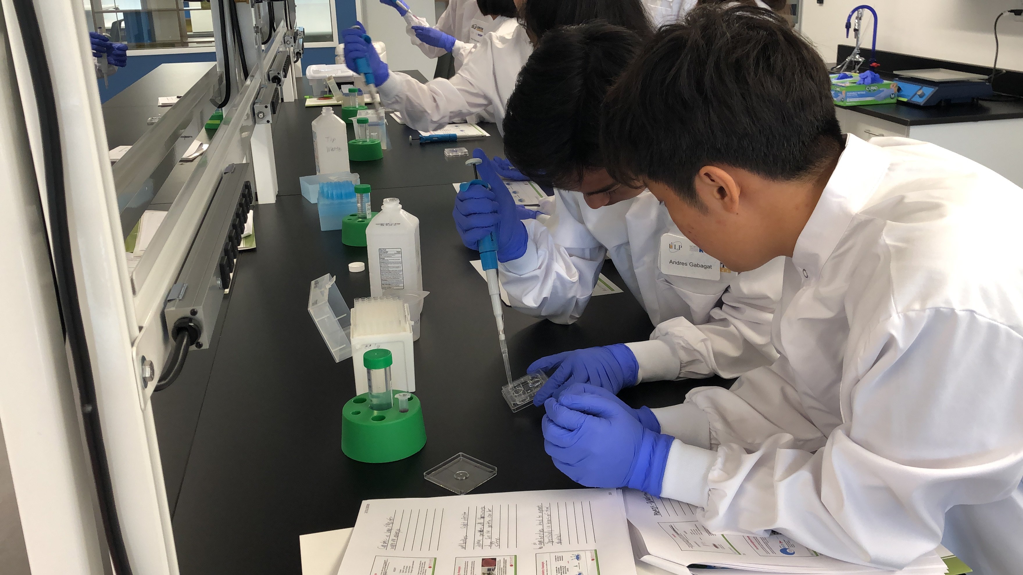 Molecular Biology Laboratory Techniques ULP 2020 Events